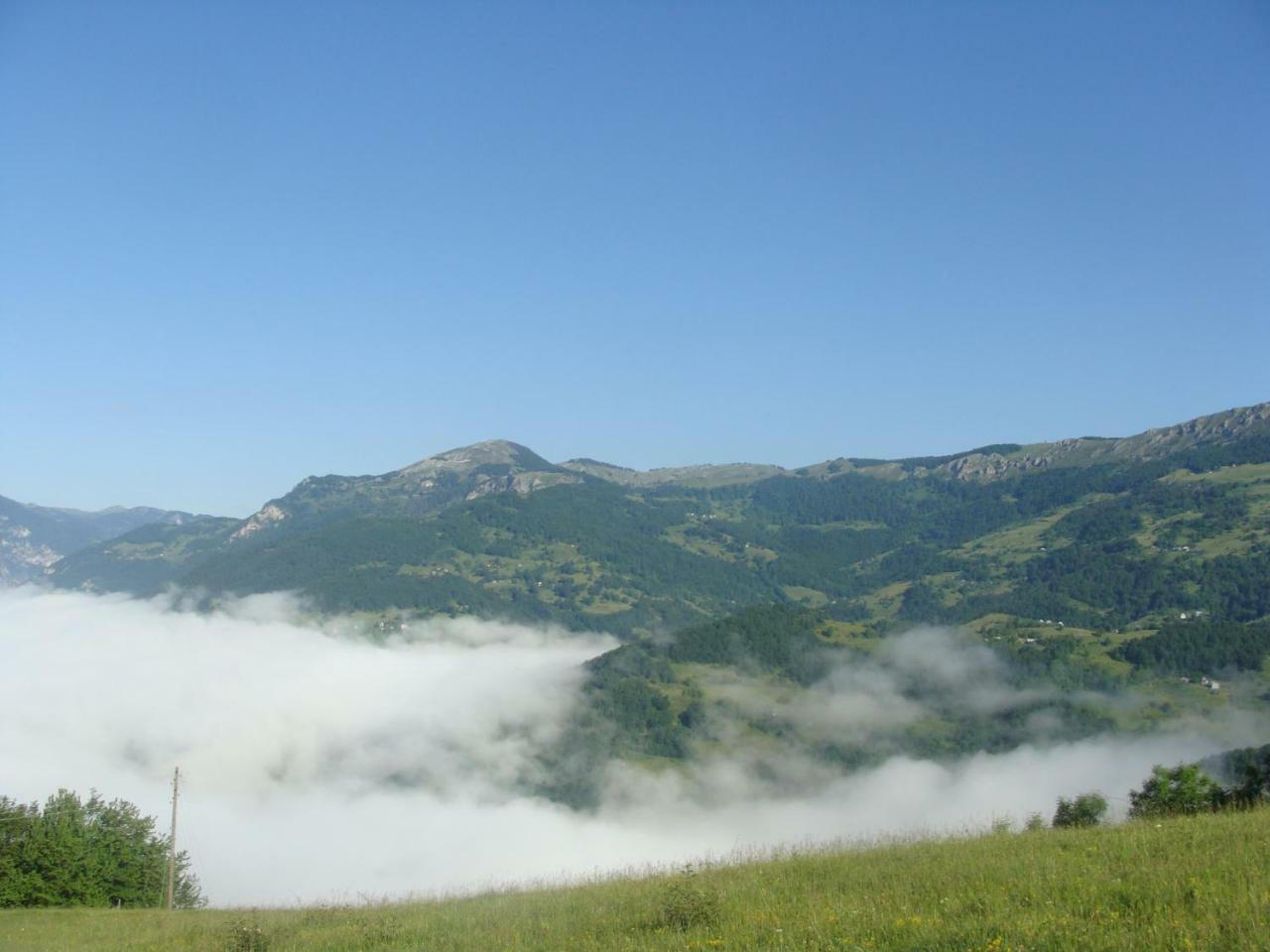 Taramour Cottages. モイコヴァツ エクステリア 写真